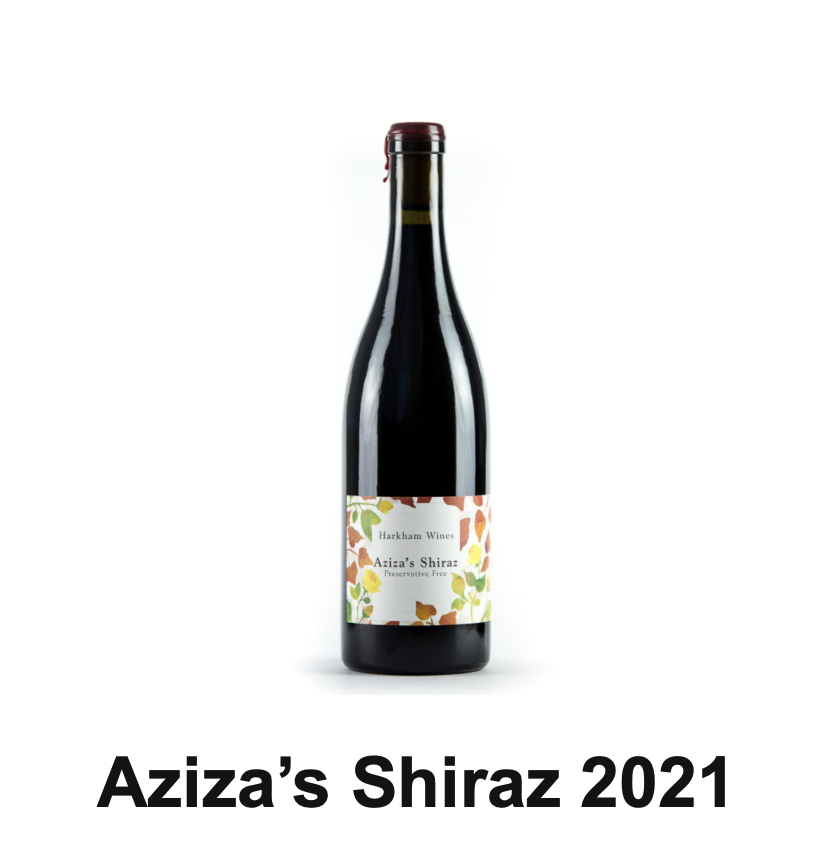 Screen-Shot-2023-06-01-at-14226-pm