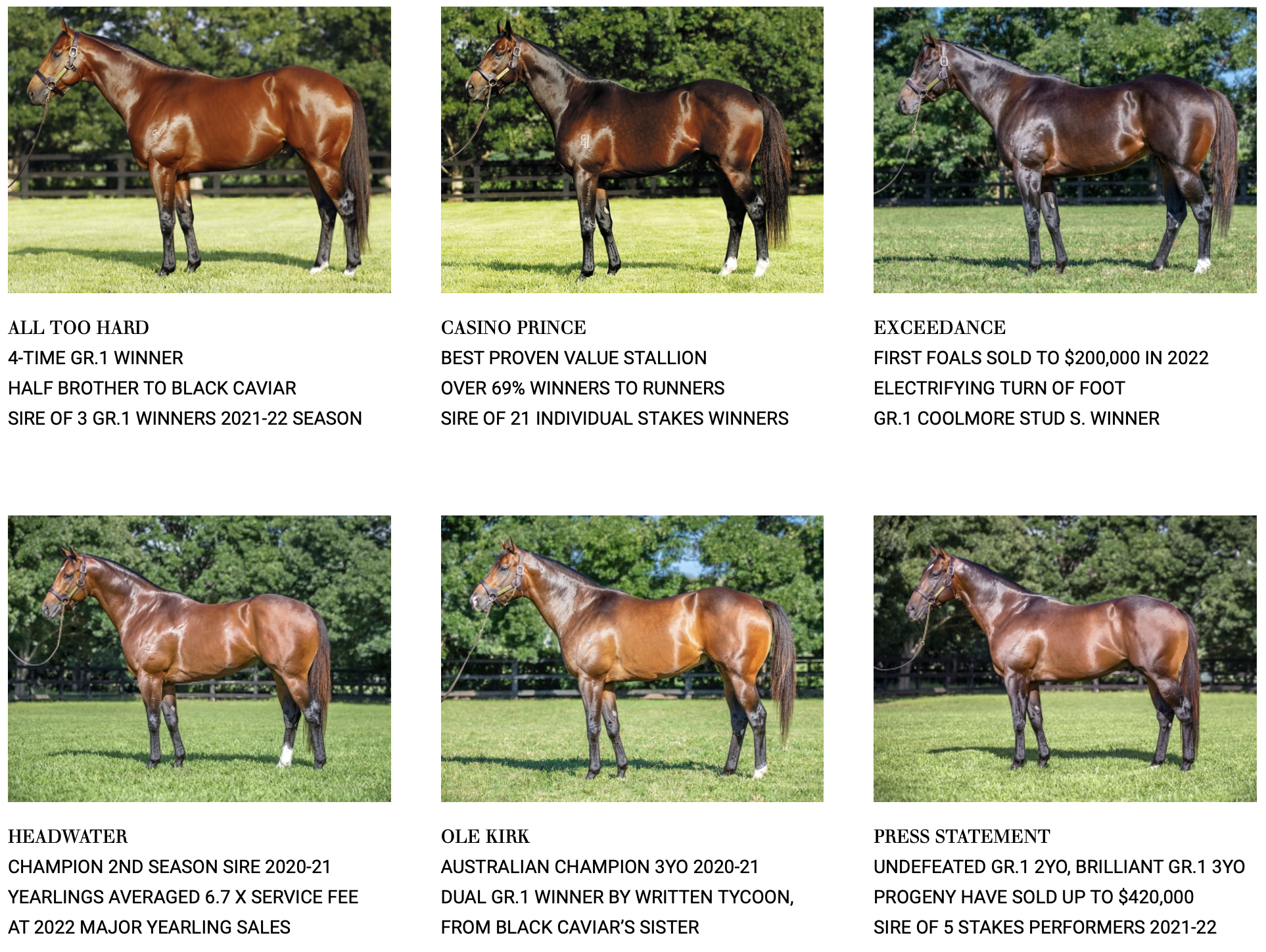 Screen-Shot-2023-06-10-at-115504-am