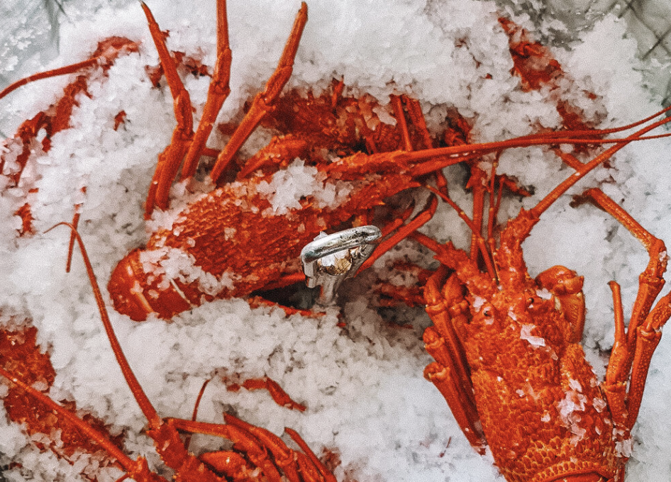 Screen-Shot-2023-06-10-at-14157-pm