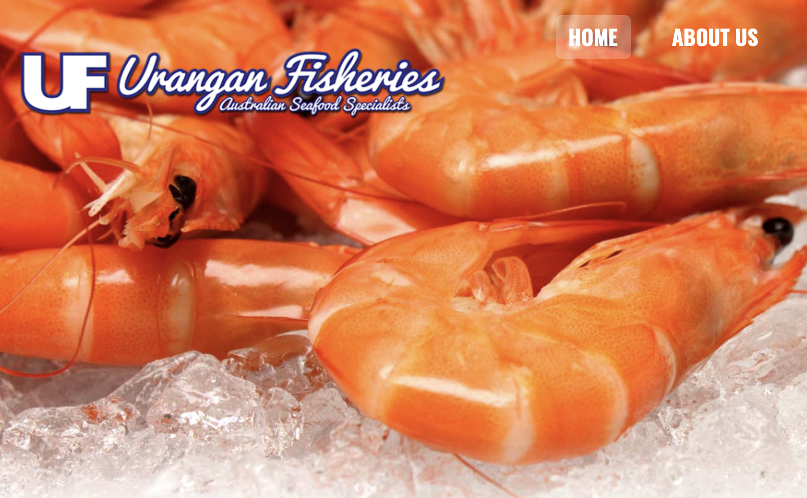 Screen-Shot-2023-06-10-at-15005-pm