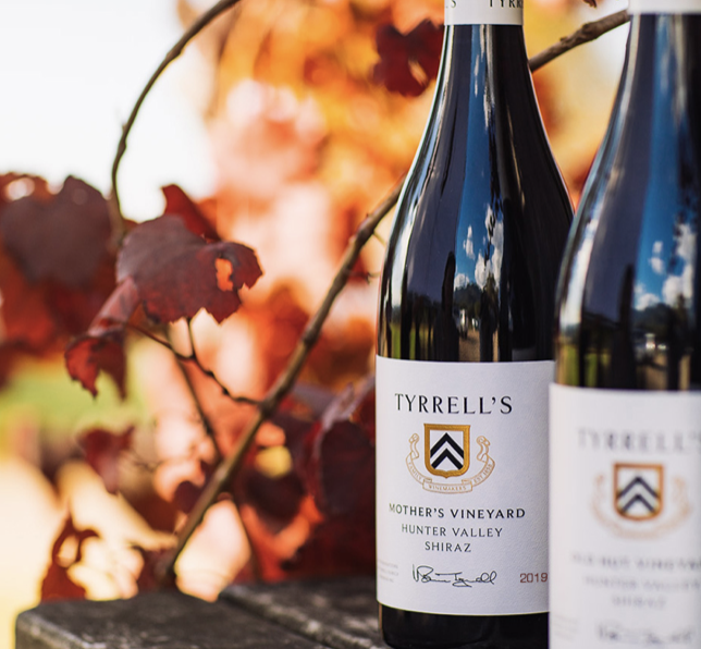 Screen-Shot-2023-06-10-at-15608-pm