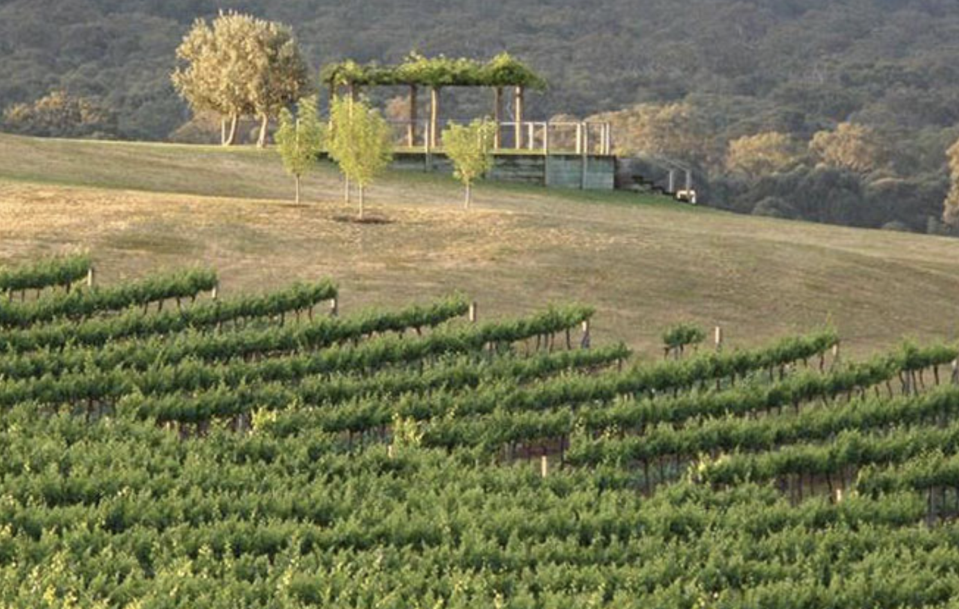 Screen-Shot-2023-06-10-at-20043-pm