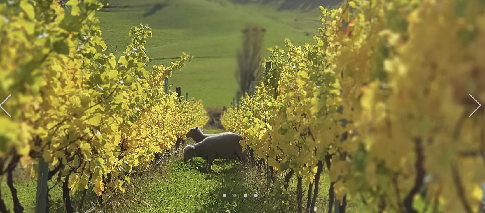 Screen-Shot-2023-06-10-at-23543-pm