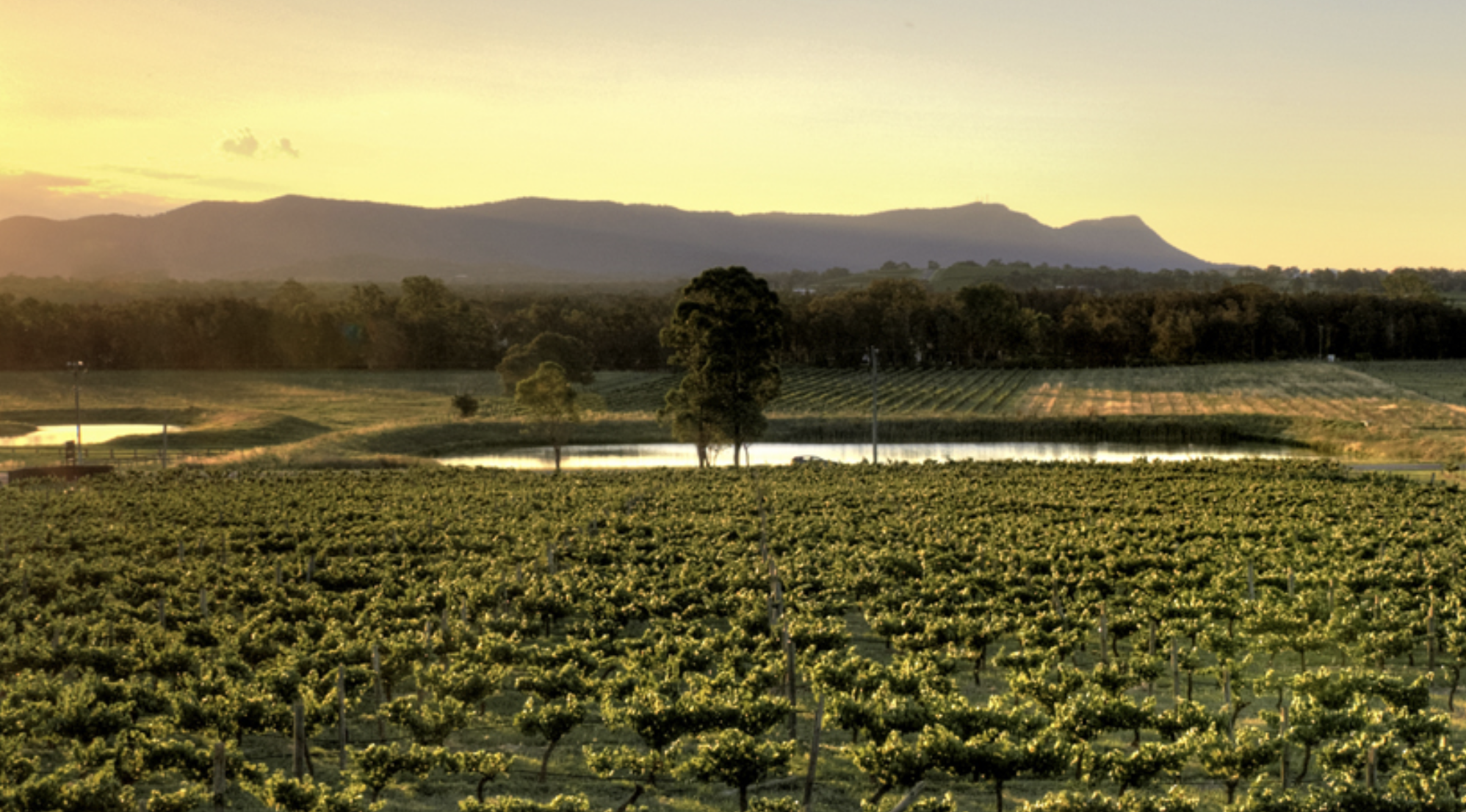 Screen-Shot-2023-06-11-at-93050-am