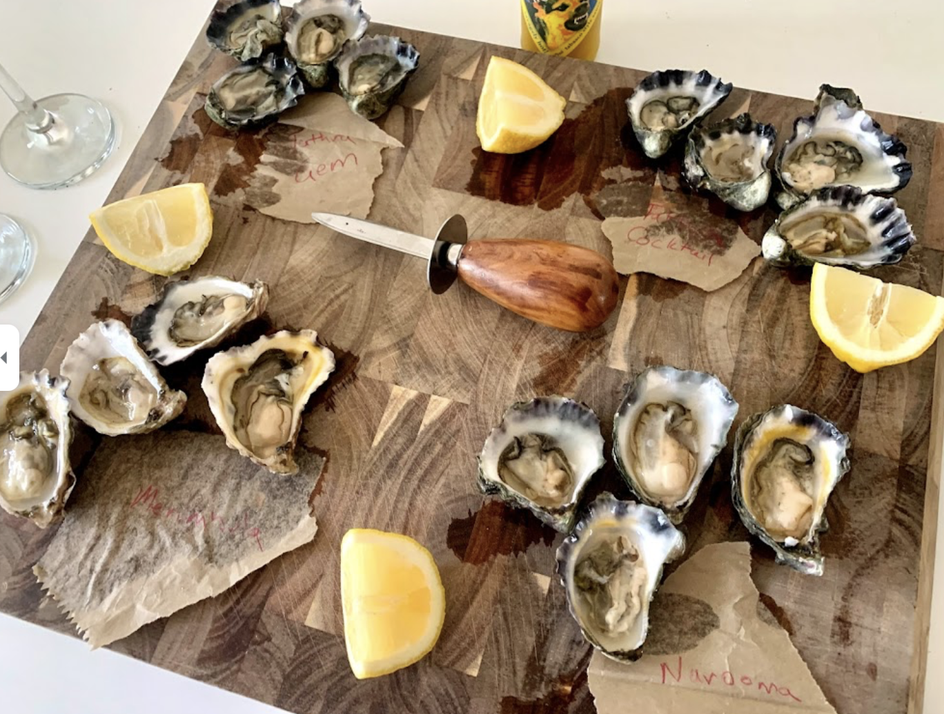 Screen-Shot-2023-06-11-at-94958-am