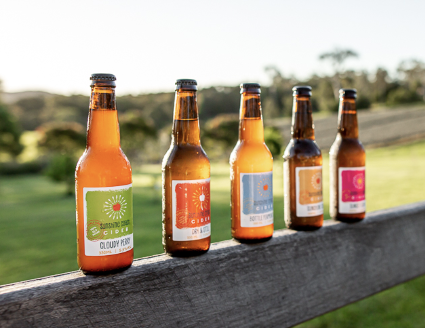 Screen-Shot-2023-06-11-at-115653-am