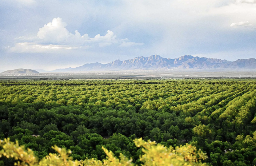 Screen-Shot-2023-06-12-at-85101-am