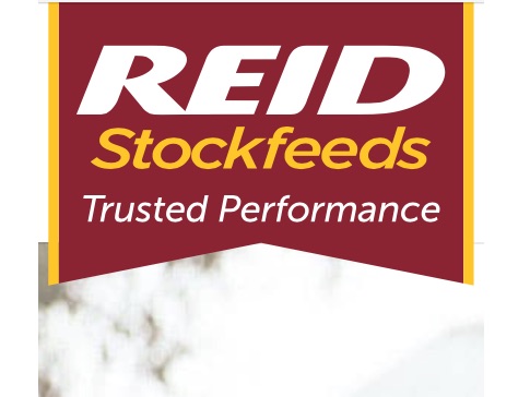 Reid Stockfeeds