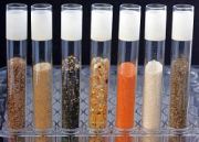 Mineral Testing & Weighing